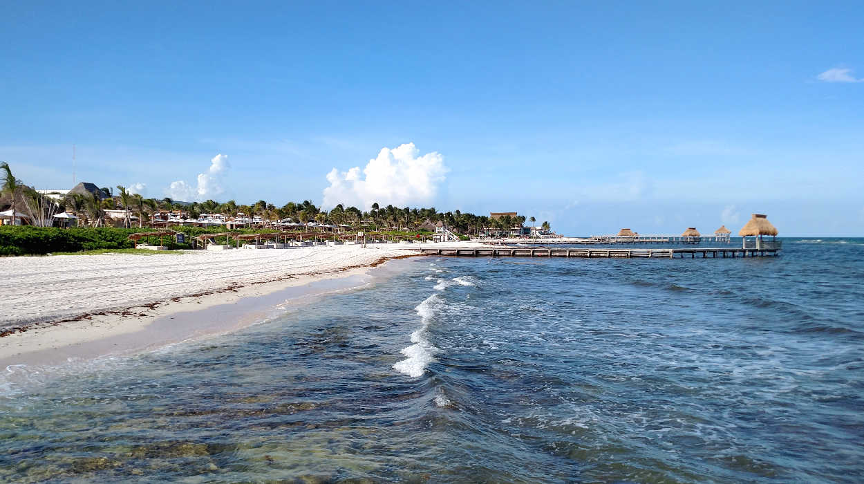 Vidanta Riviera Maya is dealing with the issue of Sargassum. Management is installing a non-structural barrier that is designed to keep the seaweed off the beaches.  Read all about it...Subscribers View - 7/31/19