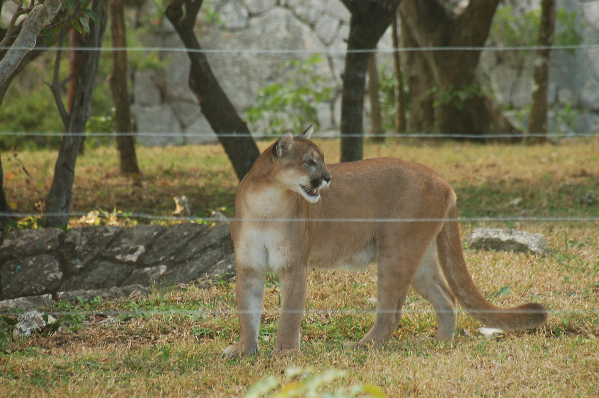 CharlesR - January 27, 2010