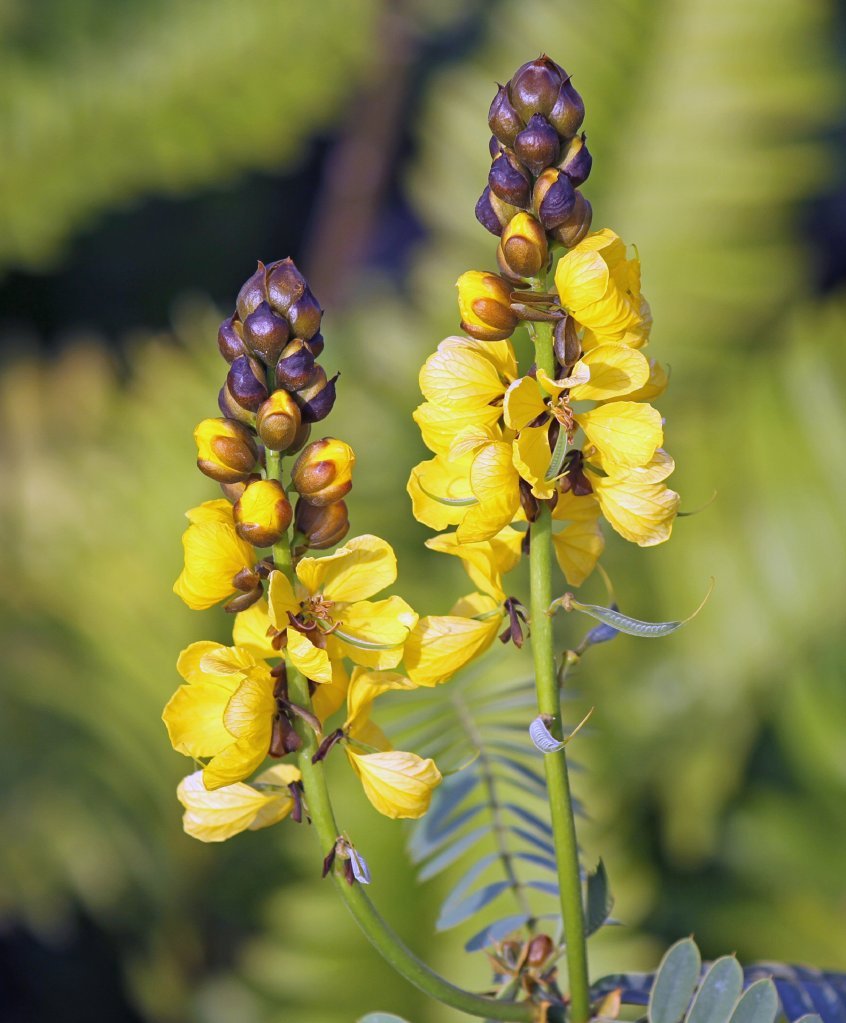 dave osborne - April 21, 2011