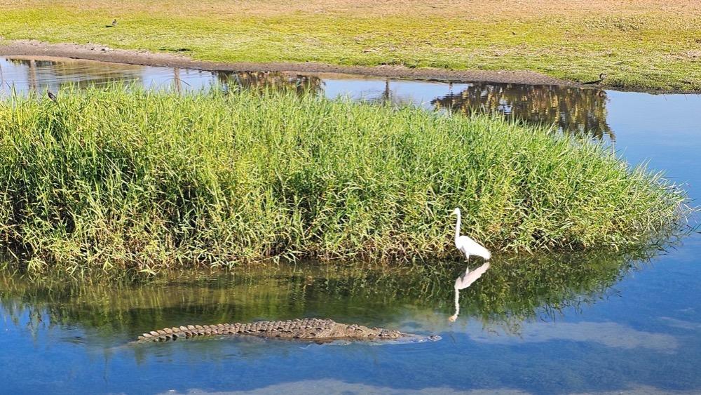 Aimfair's New Address | PO Box 693 | Vacaville, CA 94533