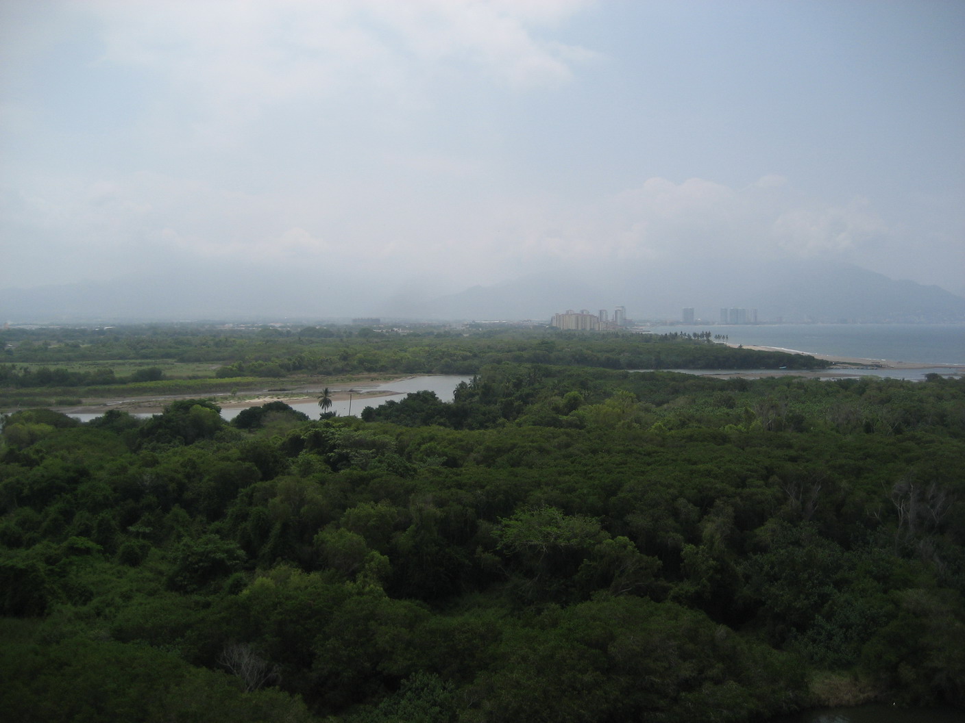Southerly View From GL - Bird Sanctuary and PV (02) - June 1 2012
