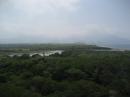 Southerly View From GL - Bird Sanctuary and PV (02) - June 1 2012