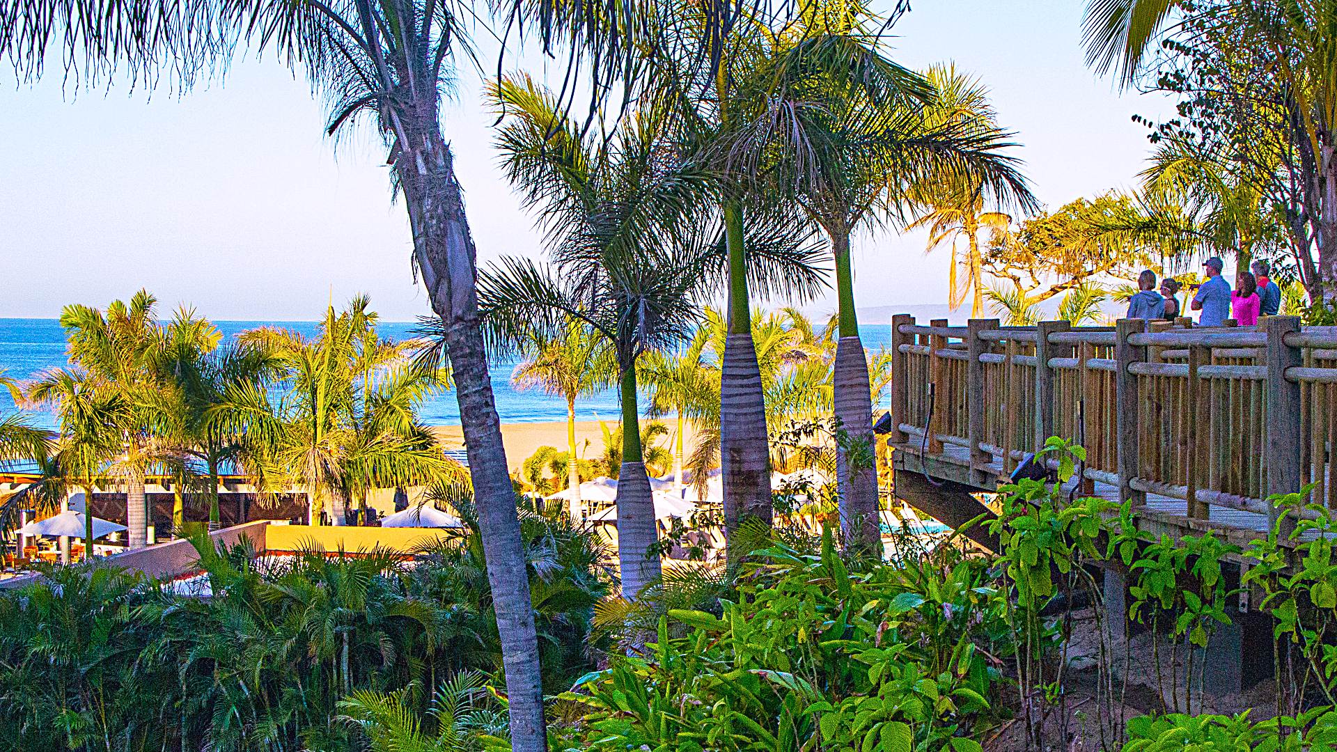 Lance provided these beautiful photos of Vidanta Nuevo Vallarta. Thank you from all of us Lance.