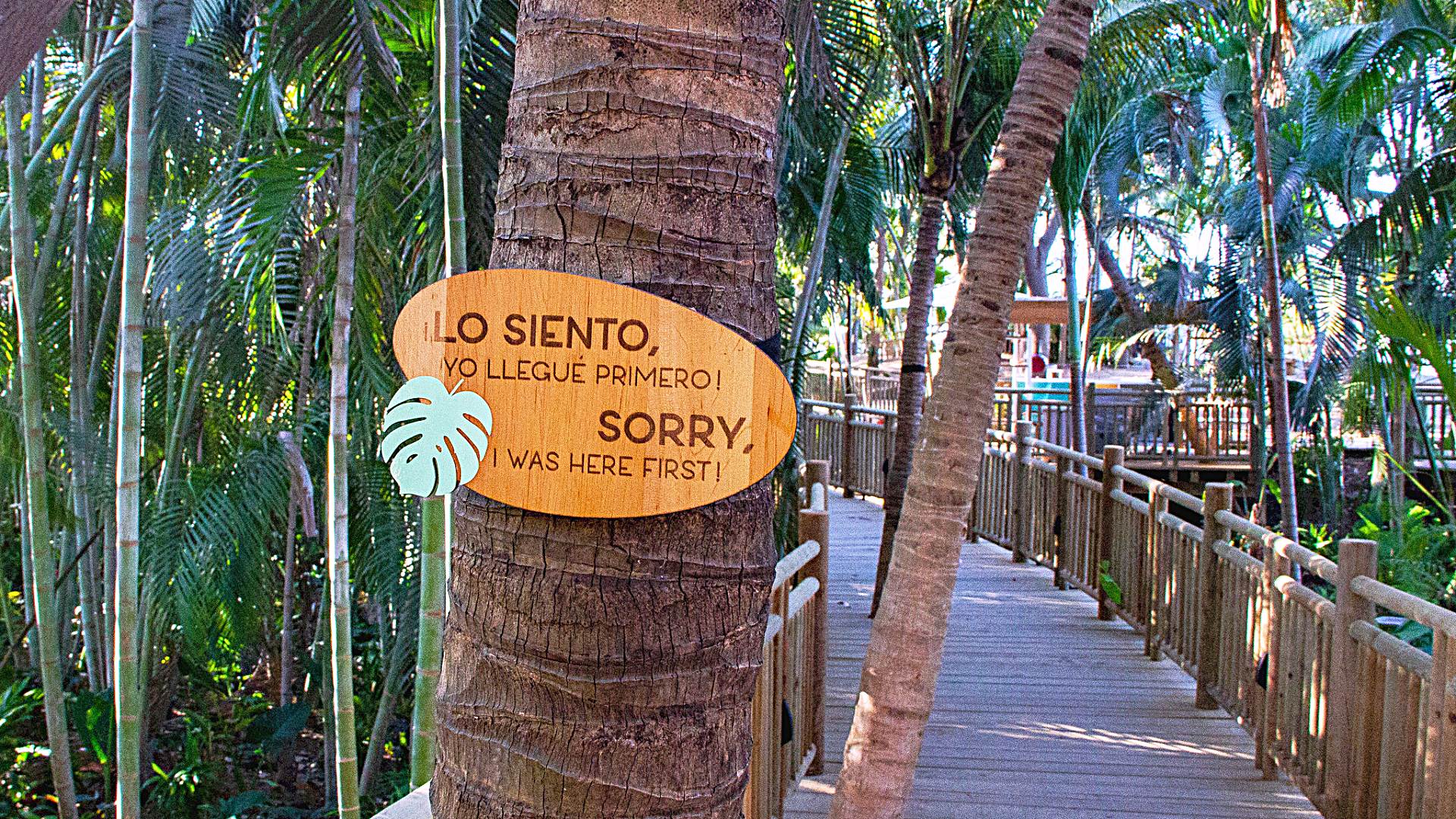 Lance provided these beautiful photos of Vidanta Nuevo Vallarta. Thank you from all of us Lance.